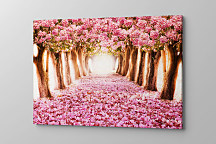 Obraz Stromy s ružovými kvetmi zs1259